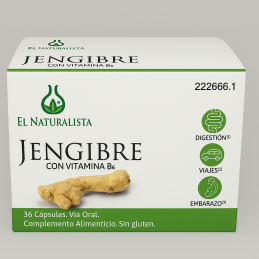 JENGIBRE EL NATURALISTA 36...